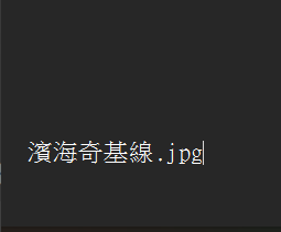 濱海奇基線