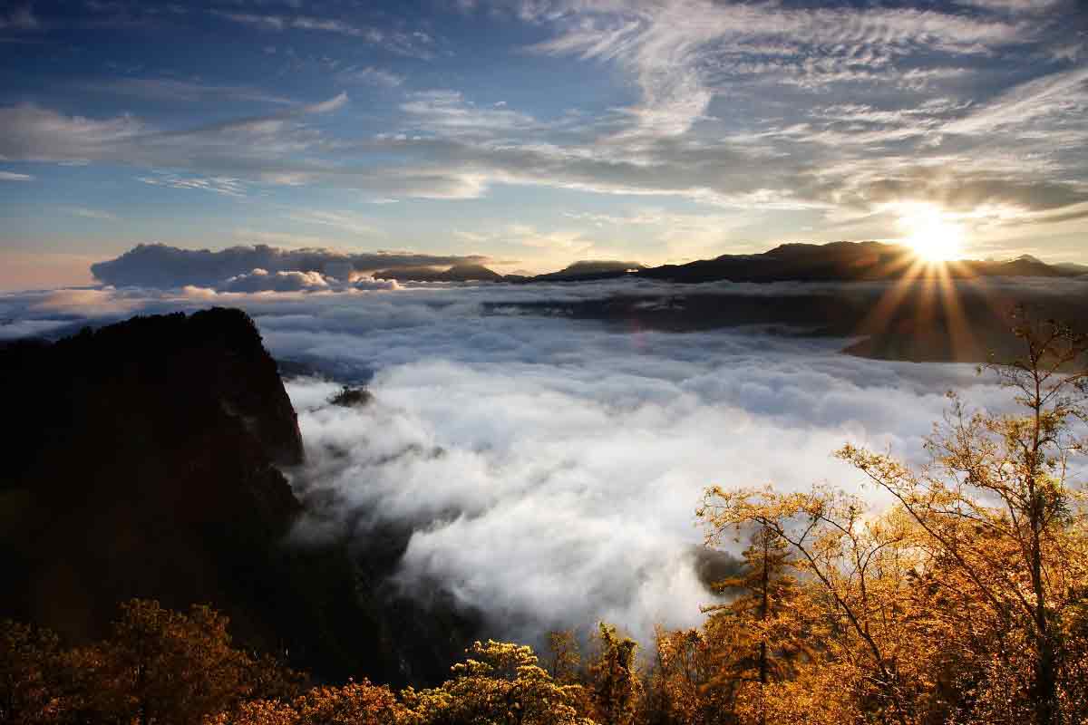 嘉義縣 阿里山森林遊樂區