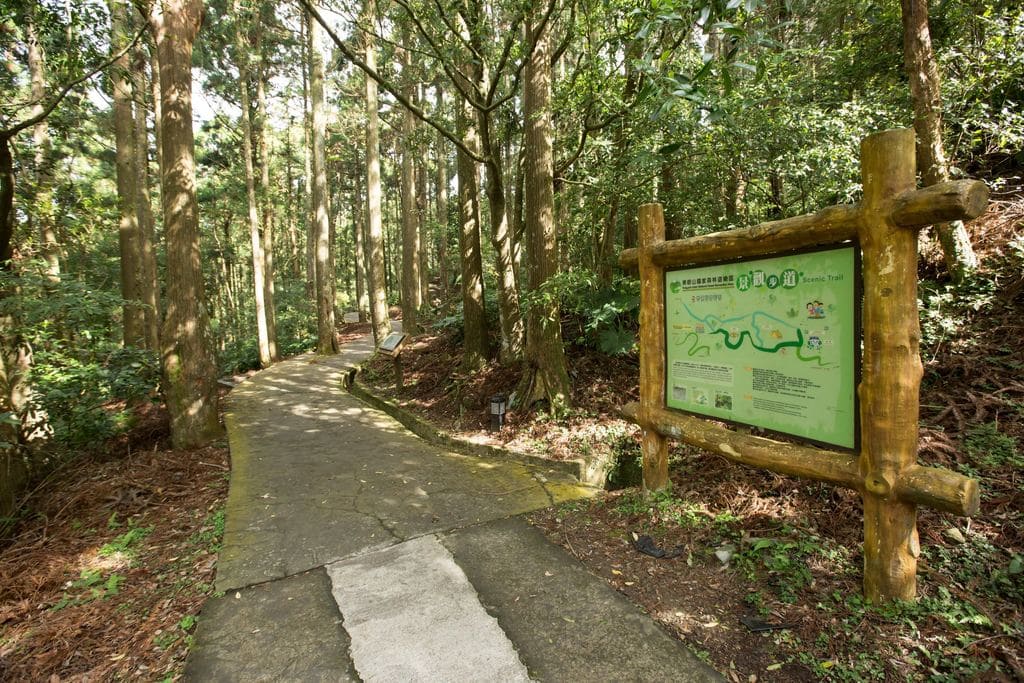 東眼山線