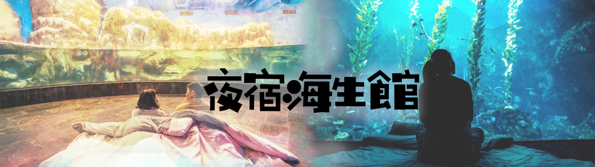 【墾丁快線】海生館兩天一夜
