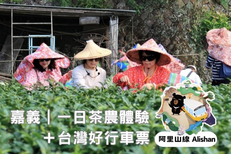 嘉義｜一日茶農體驗+台灣好行阿里山線來回車票