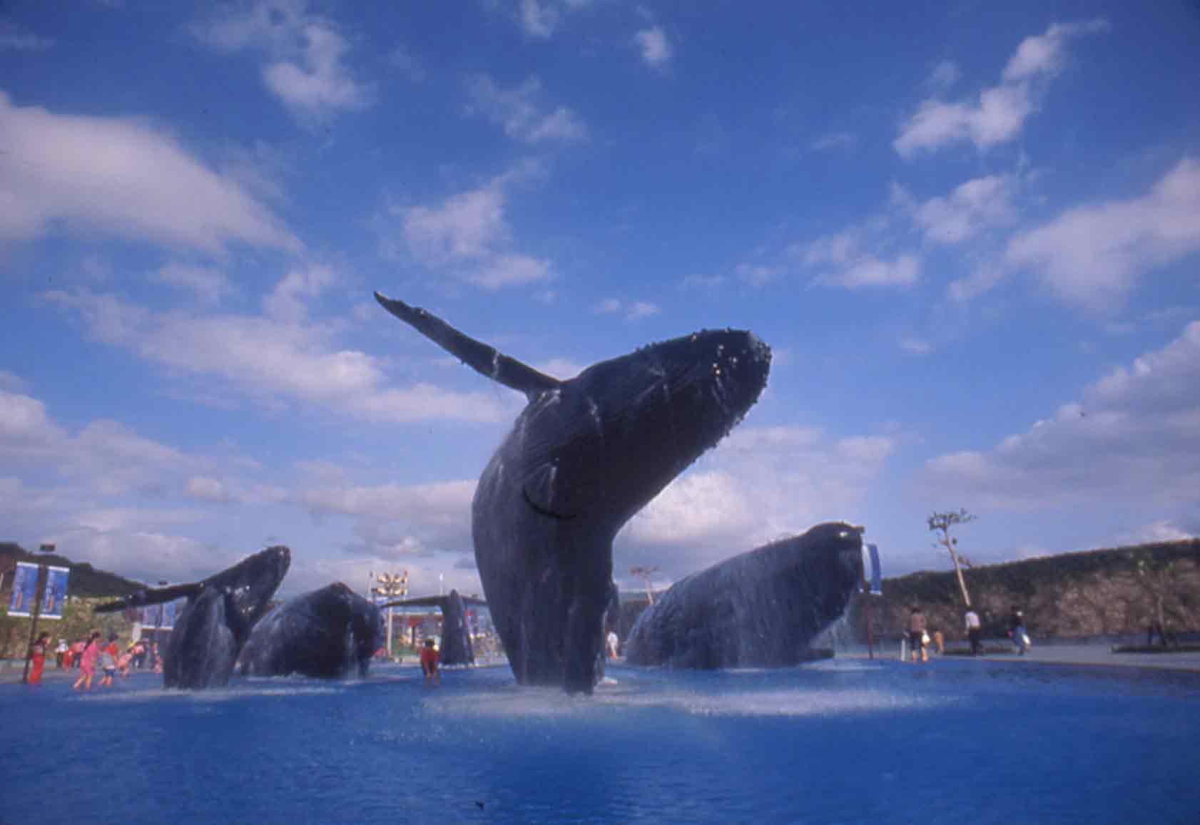 海洋生物博物館